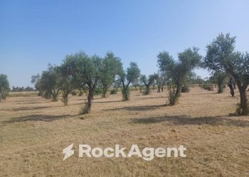 Negozio via Cesare Battisti, 12, Carmiano - foto 35