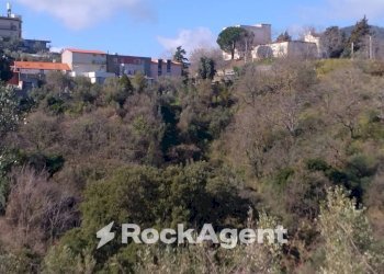 Terreno agricolo via Ettore Vitale, Catanzaro - foto 3