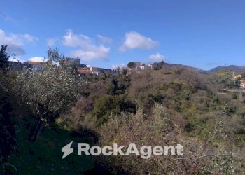 Terreno agricolo via Ettore Vitale, Catanzaro - foto 5