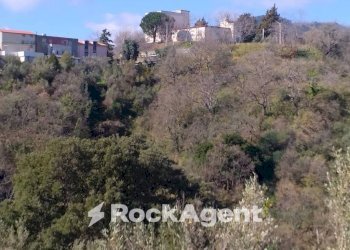 Terreno agricolo via Ettore Vitale, Catanzaro - foto 6