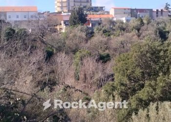 Terreno agricolo via Ettore Vitale, Catanzaro - foto 18