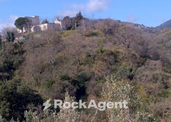 Terreno agricolo via Ettore Vitale, Catanzaro - foto 19