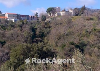 Terreno agricolo via Ettore Vitale, Catanzaro - foto 21
