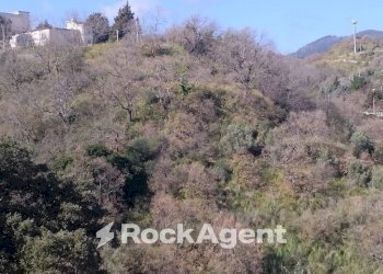 Terreno agricolo via Ettore Vitale, Catanzaro - foto 22