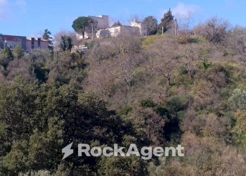Terreno agricolo via Ettore Vitale, Catanzaro - foto 23
