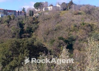 Terreno agricolo via Ettore Vitale, Catanzaro - foto 29