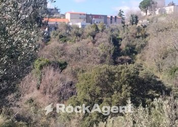 Terreno agricolo via Ettore Vitale, Catanzaro - foto 32