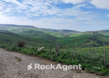 Terreno agricolo Contrade Carminello e Catena, Calascibetta - foto 5