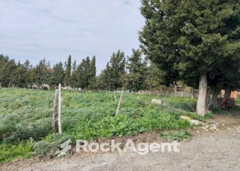 Terreno agricolo Contrade Carminello e Catena, Calascibetta - foto 6