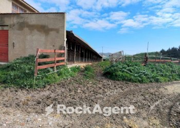 Terreno agricolo Contrade Carminello e Catena, Calascibetta - foto 11