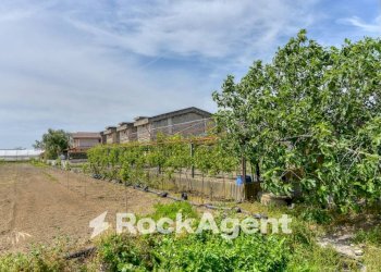 Terreno - Rustico via Orta Corcia, Angri - foto 14