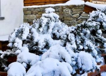 Appartamento via Cianfuran, 1, Bardonecchia - foto 21