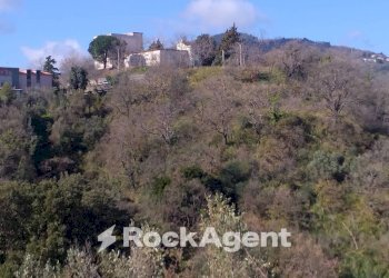 Terreno agricolo via Ettore Vitale, Catanzaro - foto 7