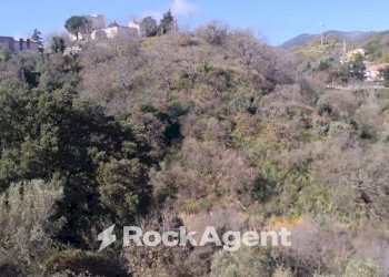 Terreno agricolo via Ettore Vitale, Catanzaro - foto 9