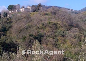 Terreno agricolo via Ettore Vitale, Catanzaro - foto 10