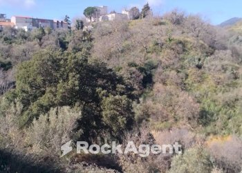 Terreno agricolo via Ettore Vitale, Catanzaro - foto 12