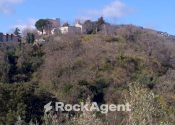 Terreno agricolo via Ettore Vitale, Catanzaro - foto 16