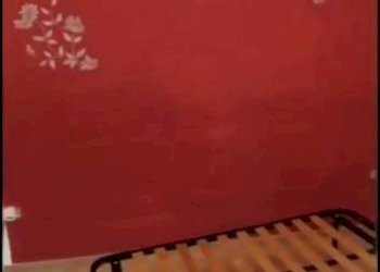 Bilocale via Mazzarella, 80, Trecchina - foto 19