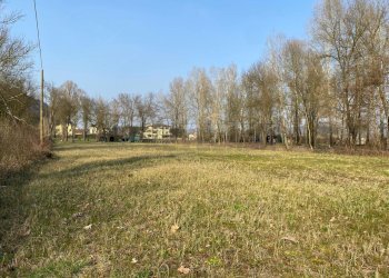 Agricultural land Arcugnano - photo 5