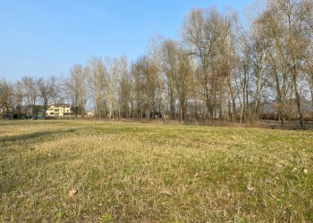 Agricultural land Arcugnano - photo 6