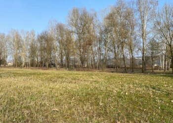 Agricultural land Arcugnano - photo 7