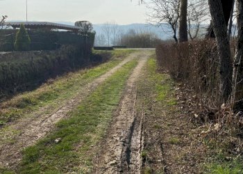 Agricultural land Arcugnano - photo 9