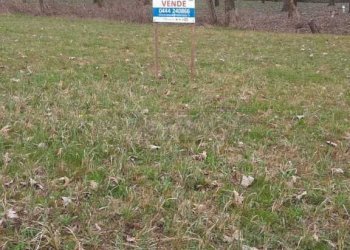 WhatsApp Image 2026-03-02 at 15.37.18 (3).jpeg - Agricultural land Arcugnano - photo 13