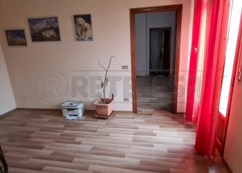 20220131_092844.jpg - Terratetto - Terracielo Via Naviglio, Cremona - foto 24