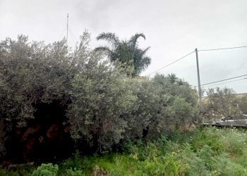 PHOTO-2026-02-24-11-01-58-1.jpg - Casa indipendente Marsala - foto 15