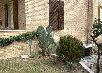 09 DI LEO IMMOBILIARE VENDE VILLINO DI AMPIE METRA - Casa indipendente Carassai - foto 9