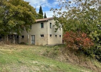 10DILEOIMMOBILIAREVENDECASADICAMPAGNACONTERRENOAGR - Casale Carassai - foto 10