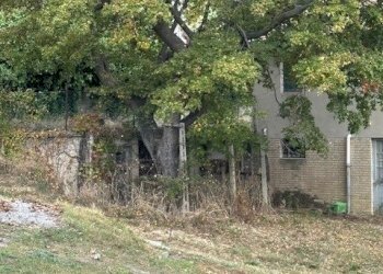 12DILEOIMMOBILIAREVENDECASADICAMPAGNACONTERRENOAGR - Casale Carassai - foto 12