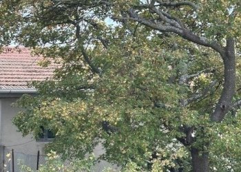 16DILEOIMMOBILIAREVENDECASADICAMPAGNACONTERRENOAGR - Casale Carassai - foto 16