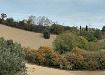 21DILEOIMMOBILIAREVENDECASADICAMPAGNACONTERRENOAGR - Casale Carassai - foto 21