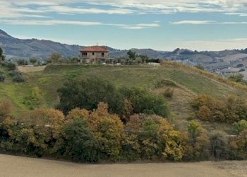 22DILEOIMMOBILIAREVENDECASADICAMPAGNACONTERRENOAGR - Casale Carassai - foto 22