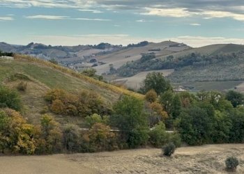 23DILEOIMMOBILIAREVENDECASADICAMPAGNACONTERRENOAGR - Casale Carassai - foto 23