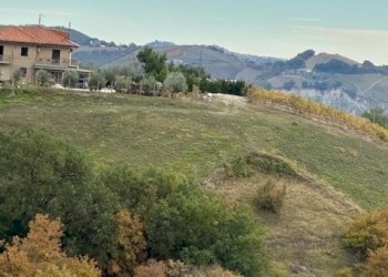 24DILEOIMMOBILIAREVENDECASADICAMPAGNACONTERRENOAGR - Casale Carassai - foto 24