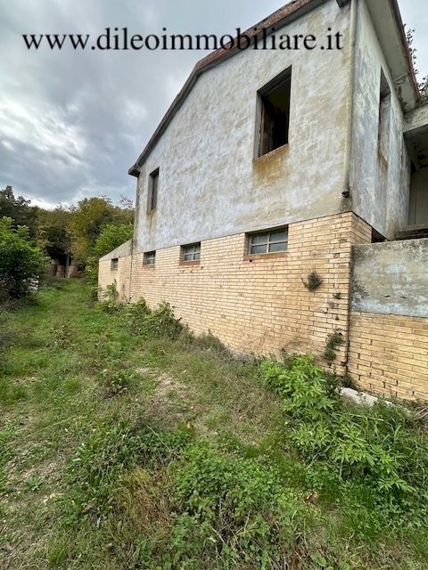 02DILEOIMMOBILIAREVENDECASOLAREDARISTRUTTURARERIPA - Casale Ripatransone - foto 3
