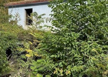 05DILEOIMMOBILIAREVENDECASOLAREDARISTRUTTURARERIPA - Casale Ripatransone - foto 5