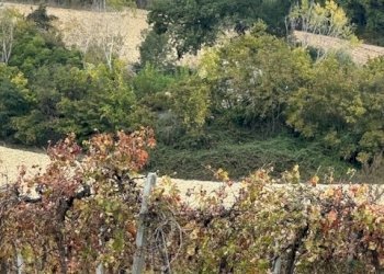 08DILEOIMMOBILIAREVENDECASOLAREDARISTRUTTURARERIPA - Casale Ripatransone - foto 8