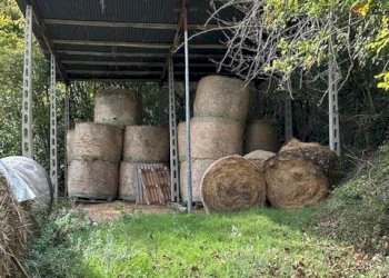 10DILEOIMMOBILIAREVENDECASOLAREDARISTRUTTURARERIPA - Casale Ripatransone - foto 10