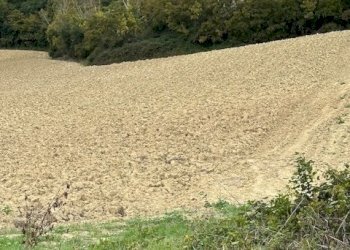 12DILEOIMMOBILIAREVENDECASOLAREDARISTRUTTURARERIPA - Casale Ripatransone - foto 12