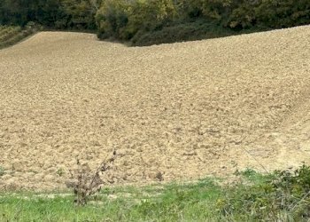 13DILEOIMMOBILIAREVENDECASOLAREDARISTRUTTURARERIPA - Casale Ripatransone - foto 13