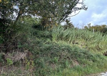 15DILEOIMMOBILIAREVENDECASOLAREDARISTRUTTURARERIPA - Casale Ripatransone - foto 15