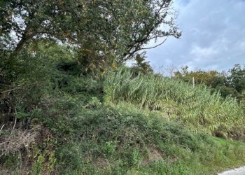 16DILEOIMMOBILIAREVENDECASOLAREDARISTRUTTURARERIPA - Casale Ripatransone - foto 16