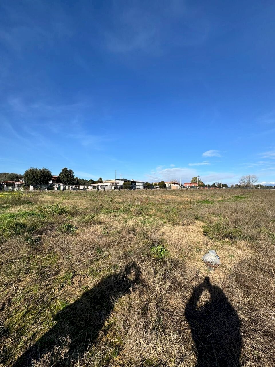 WhatsApp Image 2026-01-22 at 17.54.45 (1).jpeg - Terreno agricolo Via Monte Circeo 21, San Felice Circeo - foto 2