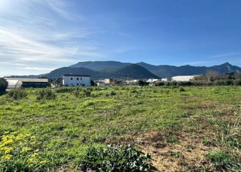 WhatsApp Image 2026-01-22 at 17.54.46 (1).jpeg - Terreno agricolo Via Monte Circeo 21, San Felice Circeo - foto 7