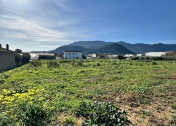 WhatsApp Image 2026-01-22 at 17.54.46.jpeg - Terreno agricolo Via Monte Circeo 21, San Felice Circeo - foto 8