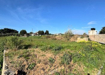 WhatsApp Image 2026-01-22 at 17.54.47.jpeg - Terreno agricolo Via Monte Circeo 21, San Felice Circeo - foto 9