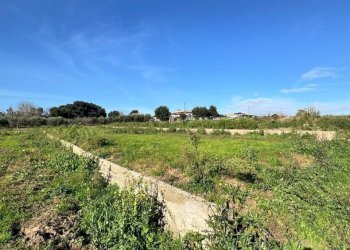 WhatsApp Image 2026-01-22 at 17.54.48 (2).jpeg - Terreno agricolo Via Monte Circeo 21, San Felice Circeo - foto 11